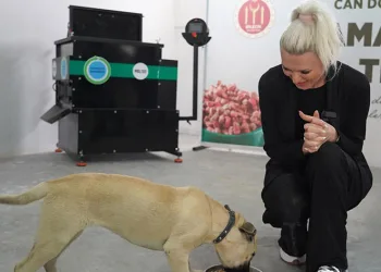 Subaşı’ndan köpek katliamıyla ilgili açıklama