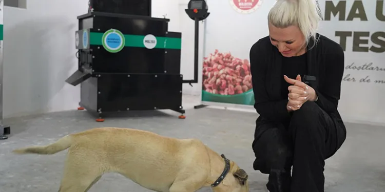 Subaşı’ndan köpek katliamıyla ilgili açıklama