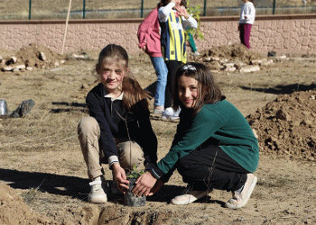 ‘Lösemili Çocuklar Hatıra Ormanı’