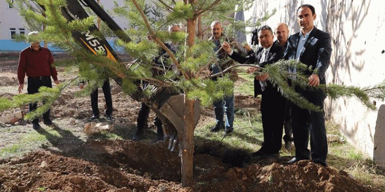 Bayburt’ta okul bahçeleri yeşilleniyor