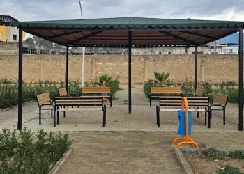 Köşk’te park ve bahçelerin bakımı yapılıyor
