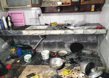 Acıkan ayılar yayla evlerine girdi
