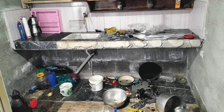 Acıkan ayılar yayla evlerine girdi