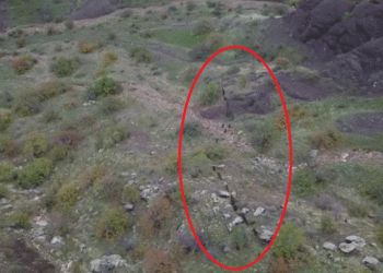 Domuz sürüsünün kaçışı dronla görüntülendi