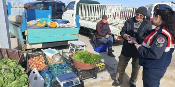 Kadına şiddetle mücadele sürüyor
