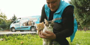 Melikgazi’de çalışmalar devam ediyor