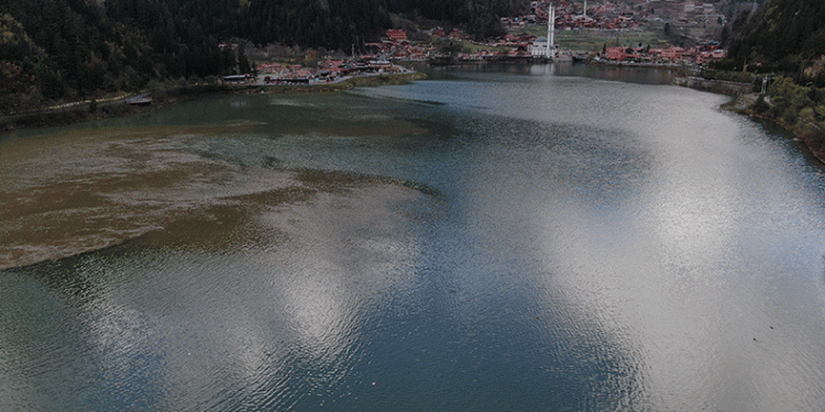 Uzungöl’ü bekleyen sinsi tehlike