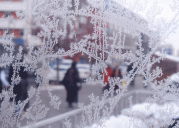 Erzurum buz kesti
