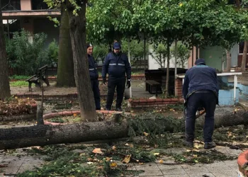 Osmangazi’de lodos mesaisi