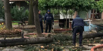 Osmangazi’de lodos mesaisi