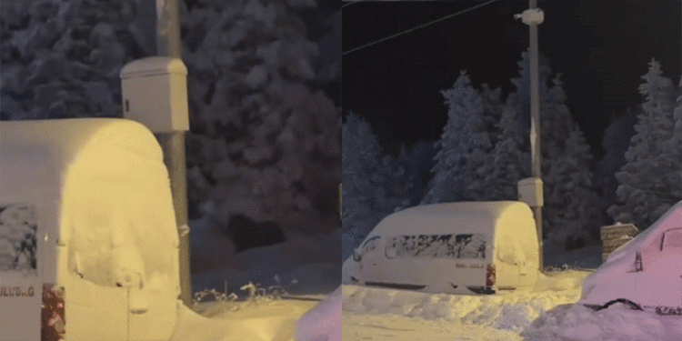 Uludağ’da kış uykusuna yatamayan ayılar yemek aradı