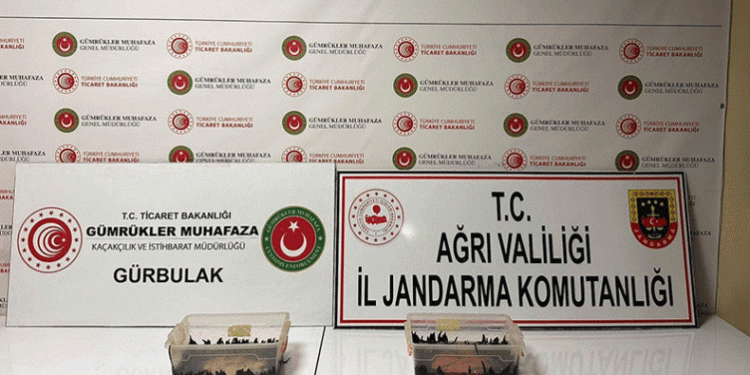 Ağrı’da 70 bin TL değerinde sülük ele geçirildi