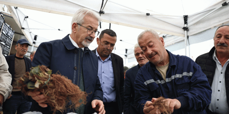 Nilüfer Belediyesi’nin desteğiyle çilek üretimi artıyor