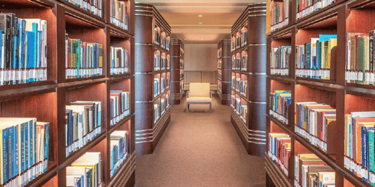 Kütüphanelerde bilgi teknolojileri eğitimi