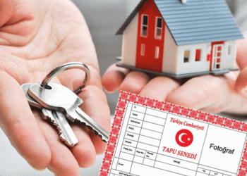 Tapu işlemleri 2024’te kolaylaşacak