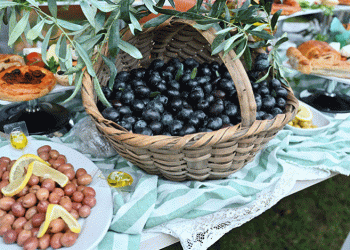 Orhangazi’de de zeytin hasadı başladı