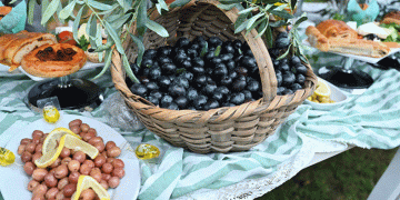 Orhangazi’de de zeytin hasadı başladı