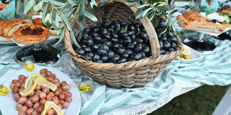 Orhangazi’de de zeytin hasadı başladı