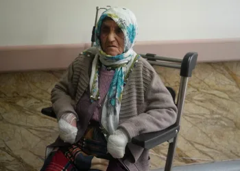 Yaşlı kadın köpeklerin saldırısına uğradı