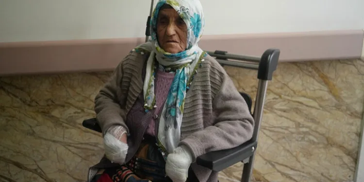 Yaşlı kadın köpeklerin saldırısına uğradı