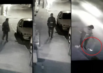 Bursa’da sığırcık kuşlarından dans gösterisi