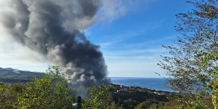Trabzon’da balık fabrikasında yangın