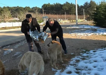 Uludağ’da hayvanlara yardım eli