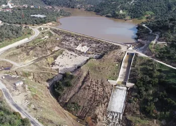 Son yağışlar çiftçilerin yüzünü güldürdü