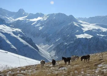 Munzur Dağlarının bir başka güzellikleri