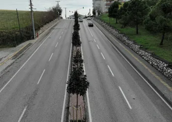 Bursa’da manolya ağaçları caddeleri süsledi