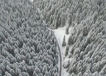 Yağan karın tadını çıkarttılar