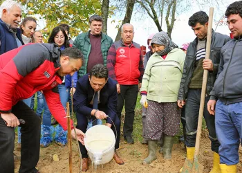 7 fidan dağıtıldı
