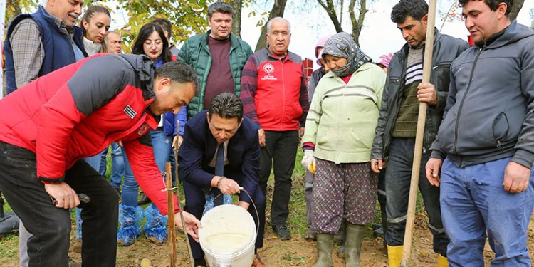 7 fidan dağıtıldı