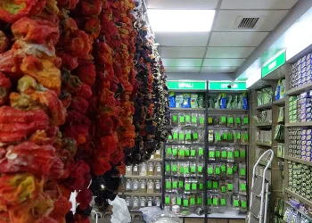 Kışın soğuk yüzü aktarlara yarıyor