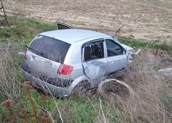 Köpeğe çarpmamak için canından oluyordu
