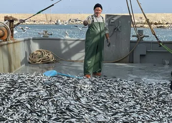Balıkçının yüzü güldü