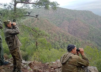Köyceğiz’de yaban keçilerinin tespiti yapıldı