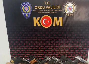 Ordu’da silah kaçakçılığı operasyonu