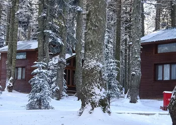 Uludağ’a kar yağdı, Orman Evleri’ne ilgi arttı