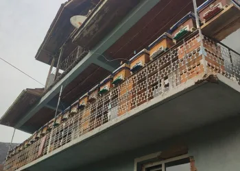 Kurtardığı kovanları evinin balkonuna taşıdı