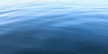 Çayelililerin petrol sevinci