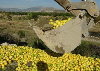 Dereye dökülen limon imha edildi