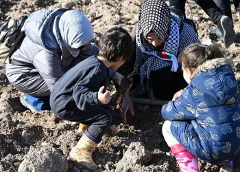Gazzeli şehitler anısına yüzlerce fidan toprakla buluşturuldu