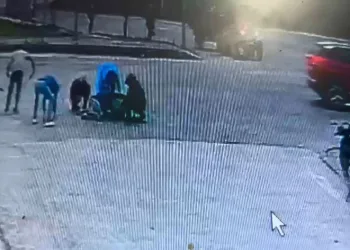 Düşen zeytinleri toplamak için seferber oldular