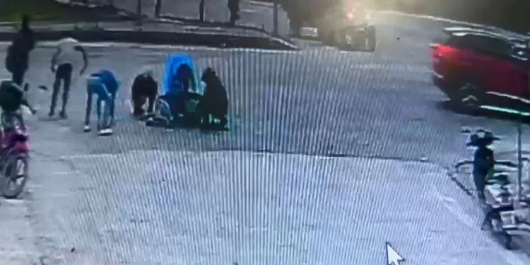 Düşen zeytinleri toplamak için seferber oldular