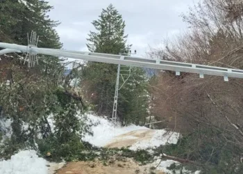 Fırtına direkleri devirdi, köylerde enerji kesintisi yaşandı