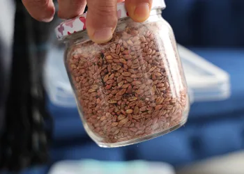 Ürettiği ürünleri ücretsiz dağıtıyor