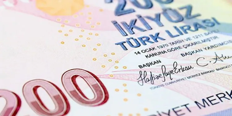 Yeni 200 TL’lik banknotlar tedavülde