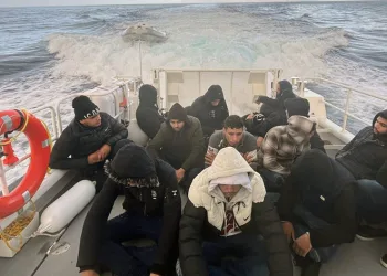 15 günde 13 insan taciri