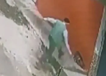 Kediye keserle saldırdı